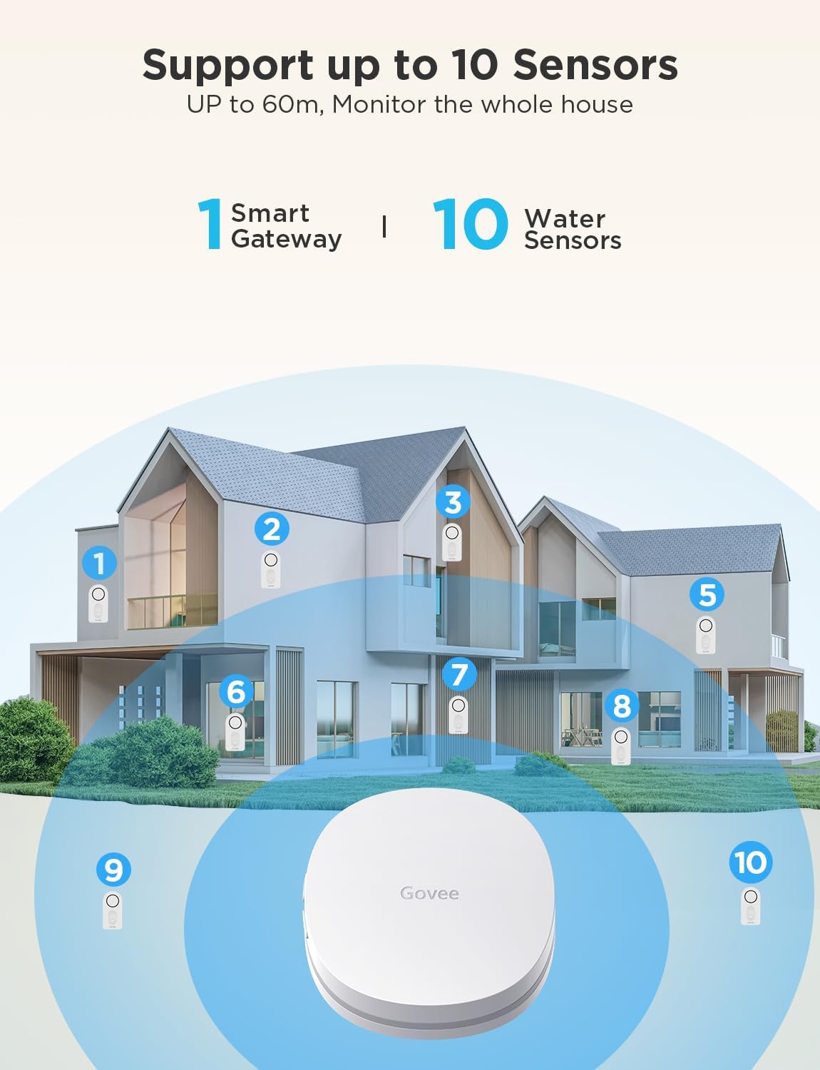 Govee WiFi Water Sensor 