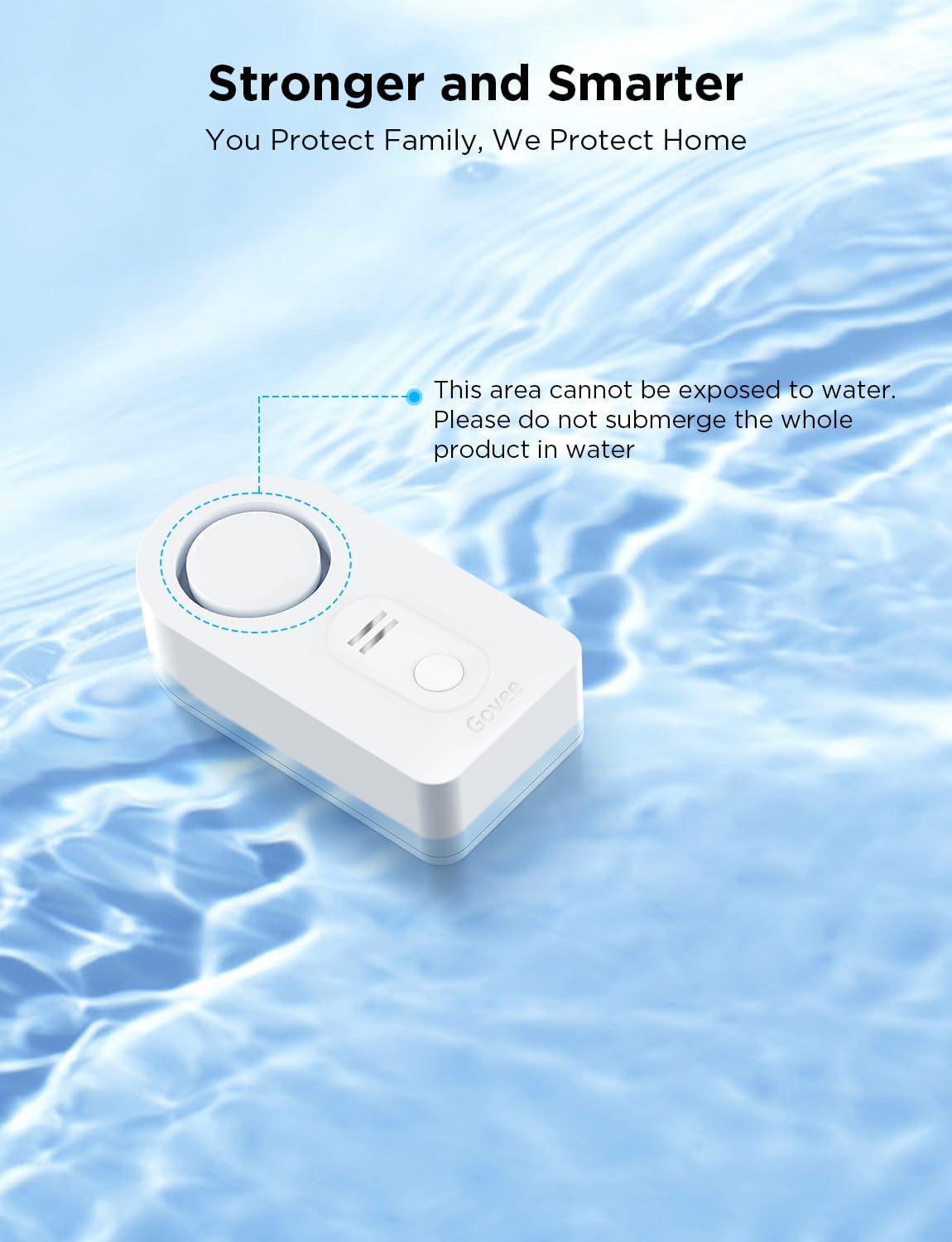 Govee WiFi Water Sensor 