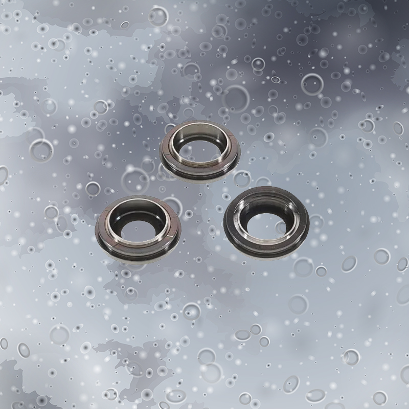 Back Rear Camera Lens Ring Cover with Glass for iPhone 12 Pro Max 6.7 inch